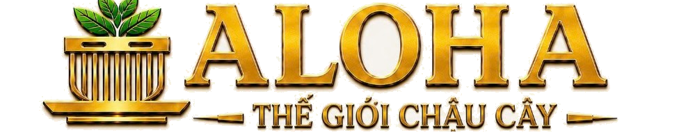 ALOHA Thế Giới Chậu Cây
